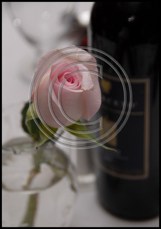 Rose and Wine